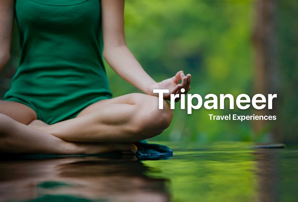 Tripaneer